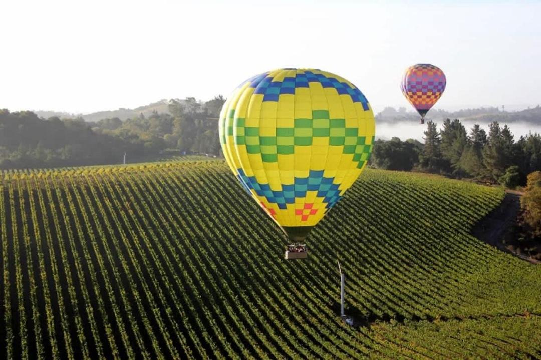 Photo of Others in Healdsburg