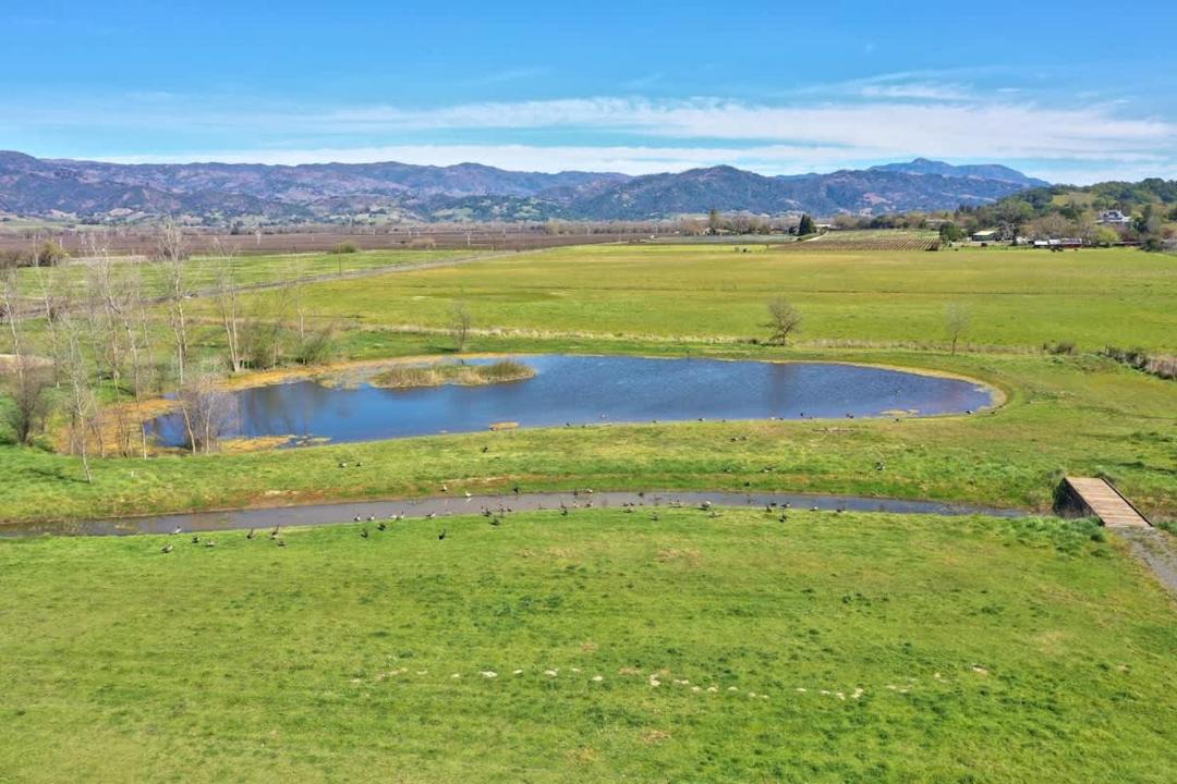 Photo of Others in Healdsburg
