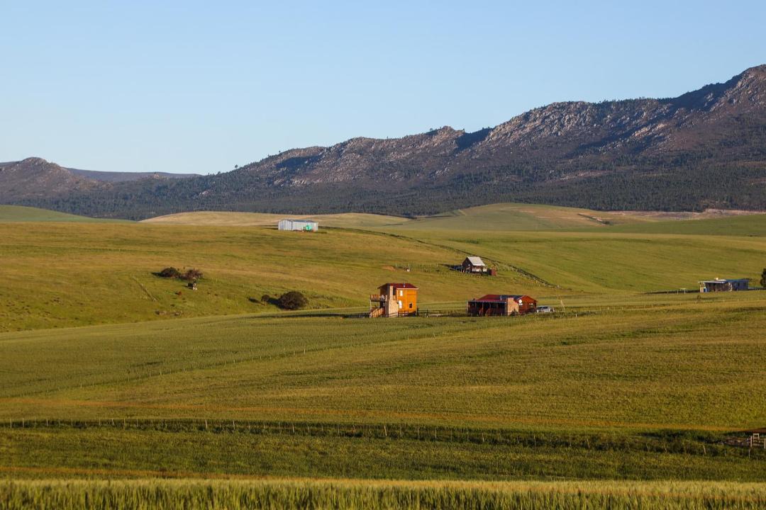 Photo of Others in Caledon