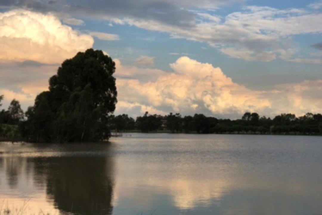 Photo of Others in Metsimaholo