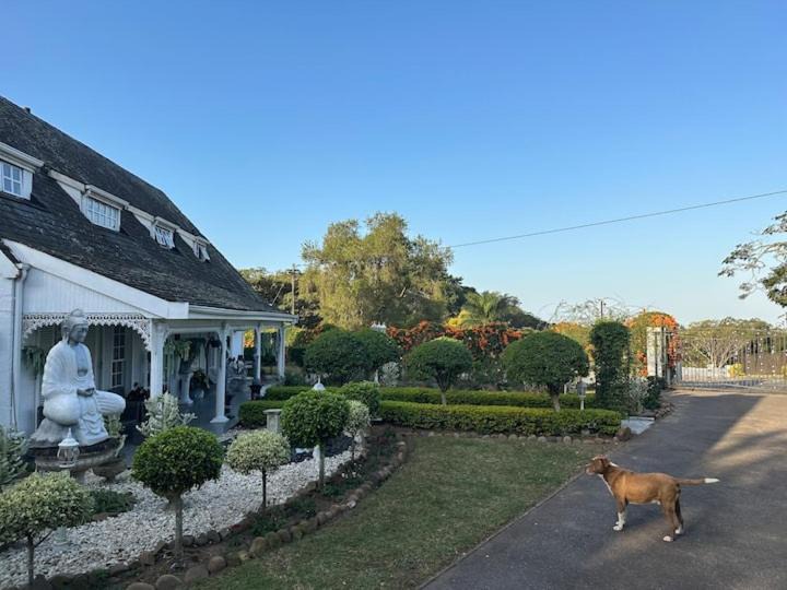 Photo of Others in Westville