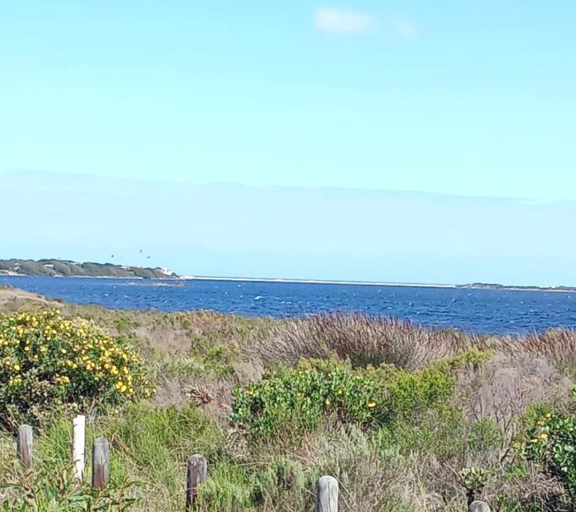 Photo of Others in Fisherhaven