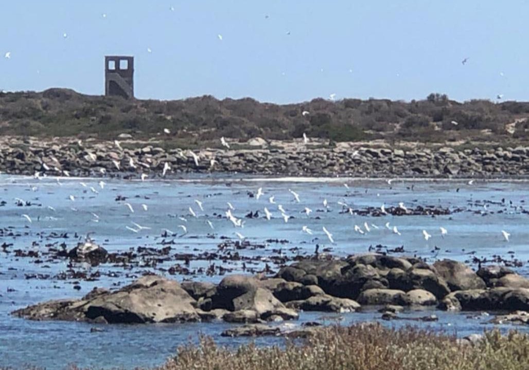 Photo of Others in Jacobs Bay