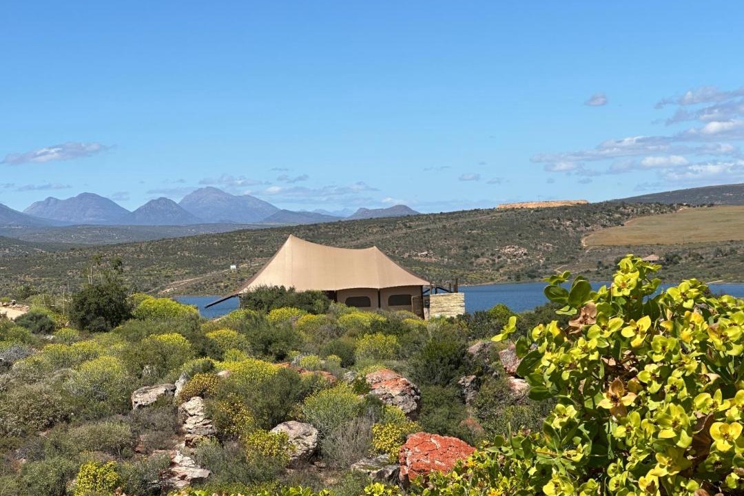 Photo of Others in Cederberg