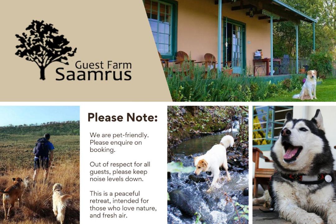 Photo of Others in Magaliesberg