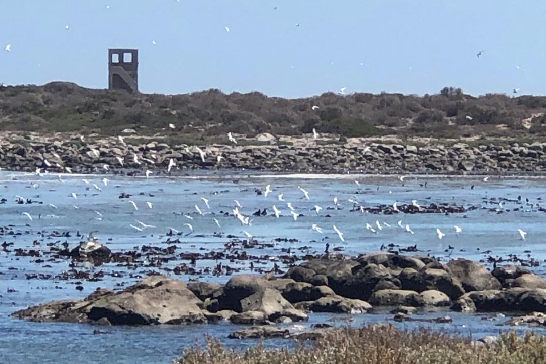 Photo of Others in Jacobs Bay