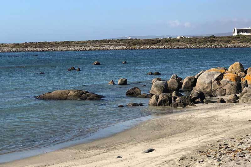 Photo of Others in Jacobs Bay