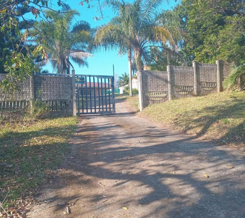 Photo of Others in Palm Beach