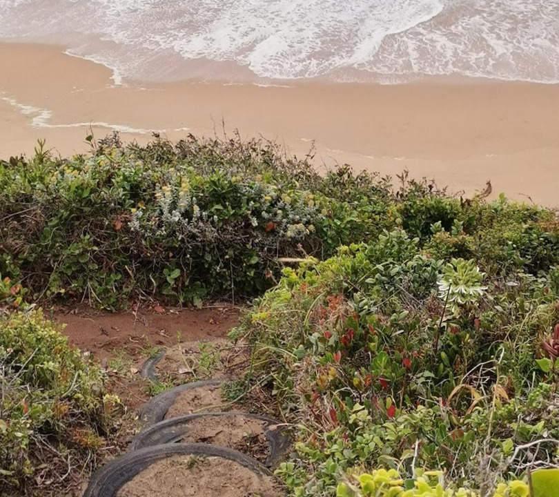 Photo of Others in Wilderness Beach