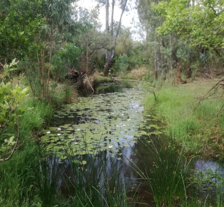 Photo of Others in Ramotshere Moiloa