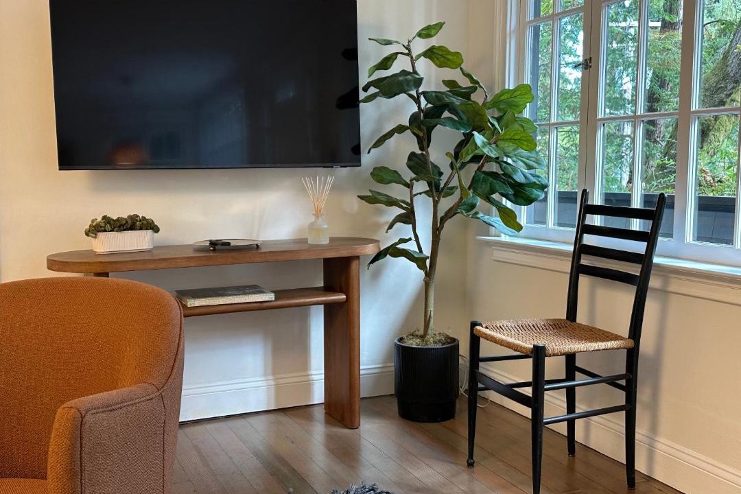 Photo of Livingroom in Mill Valley