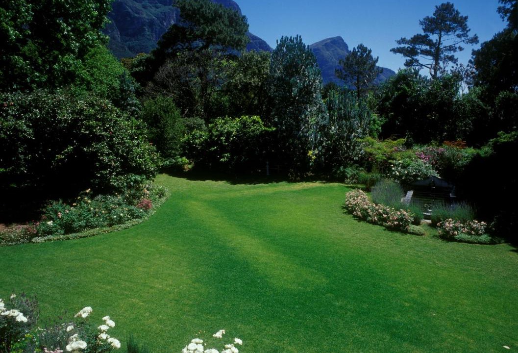 Photo of Others in Newlands