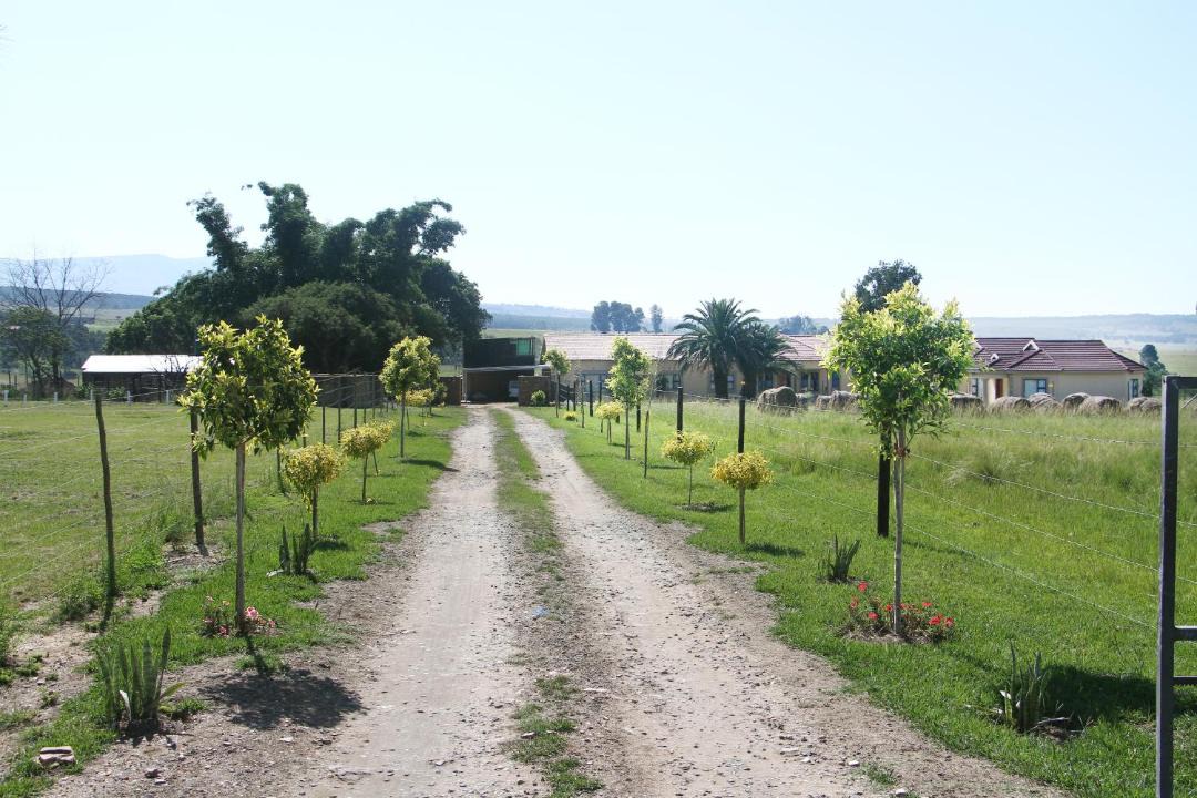 Photo of Others in Vryheid