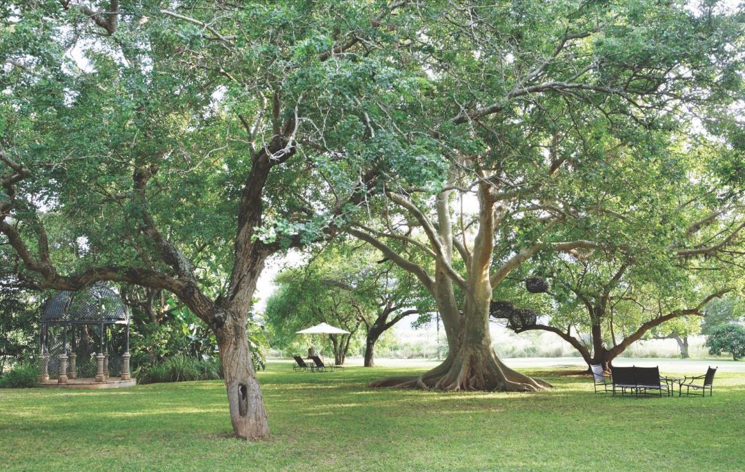 Photo of Outdoor in Mkuze