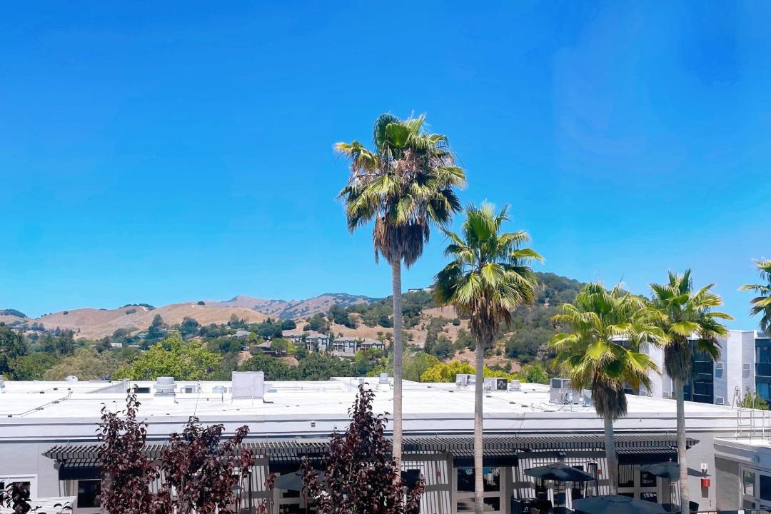 Photo of Others in San Rafael
