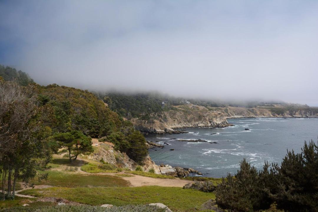 Photo of Others in Timber Cove