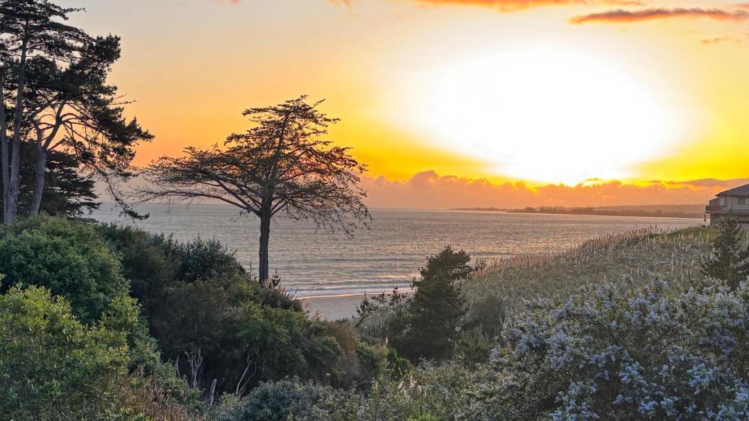 Photo of Others in Rio del Mar