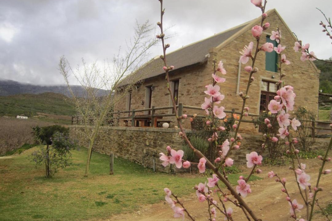 Photo of Others in Barrydale
