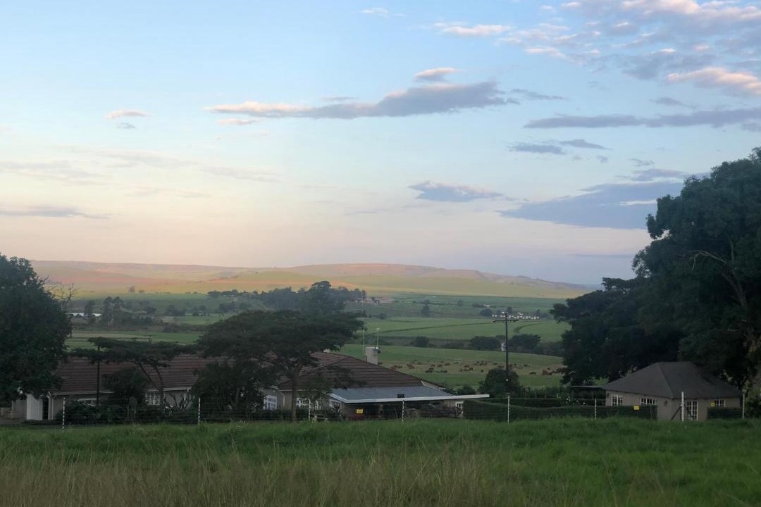 Photo of Others in Mid Illovo
