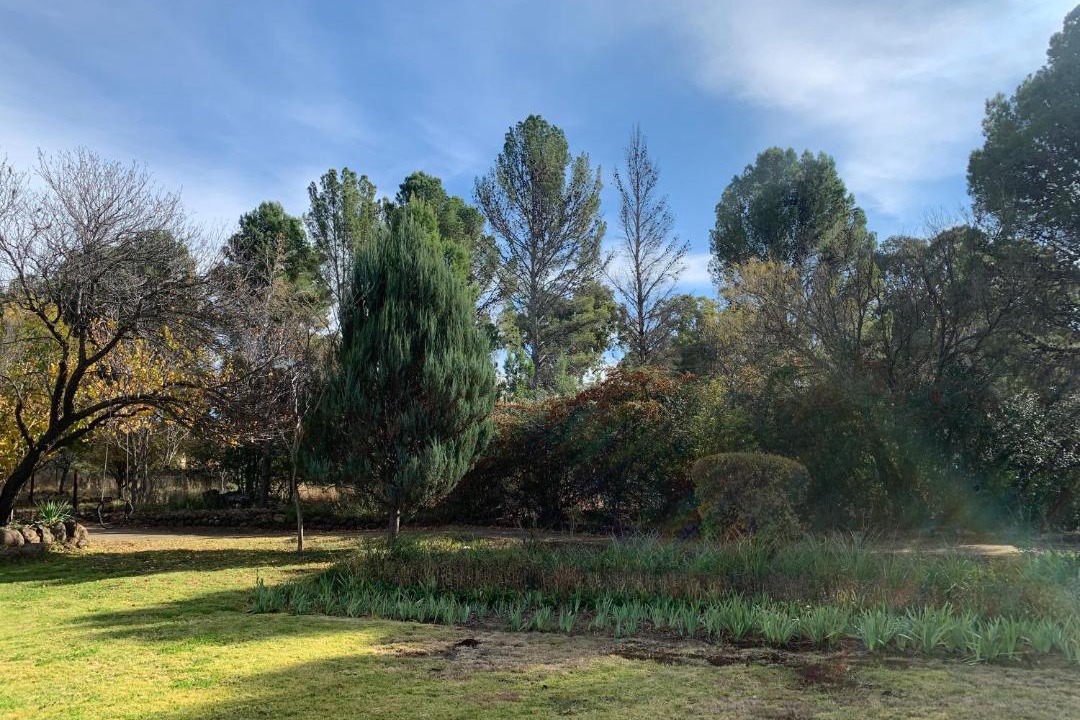 Photo of Outdoor in Burgersdorp