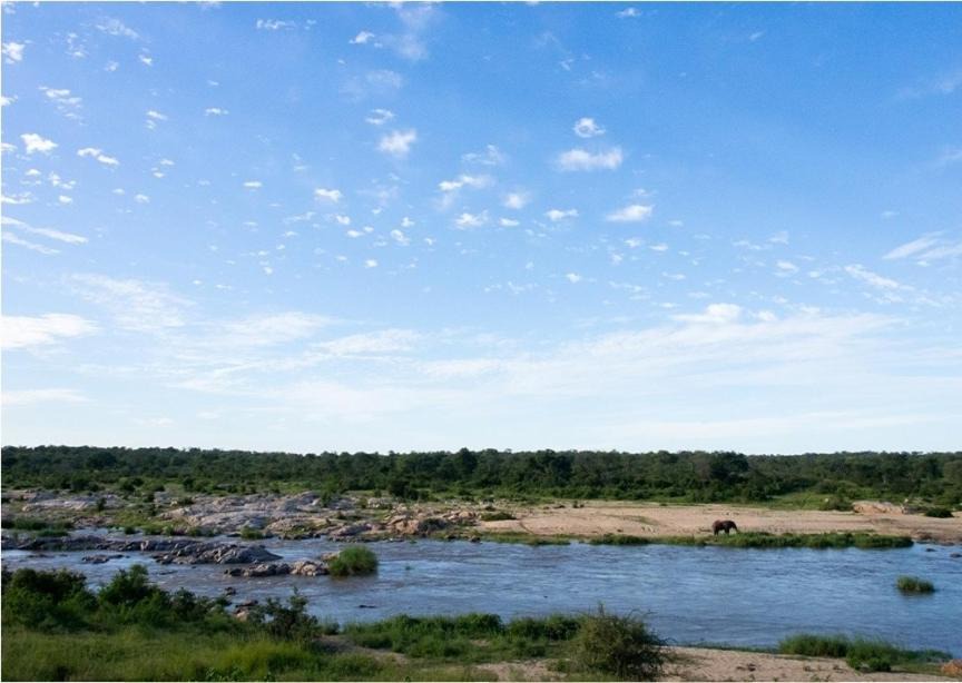 Photo of Others in Hectorspruit
