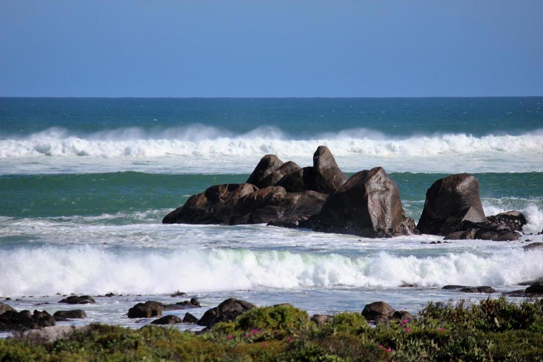 Photo of Others in Jacobs Bay