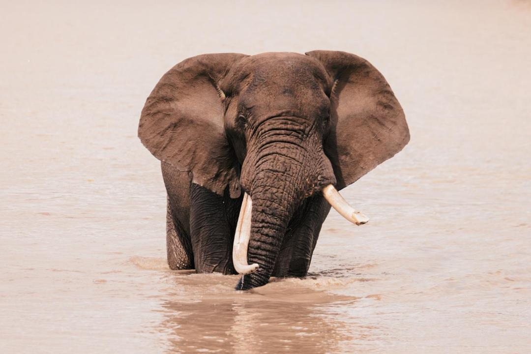Photo of Others in Nkomazi