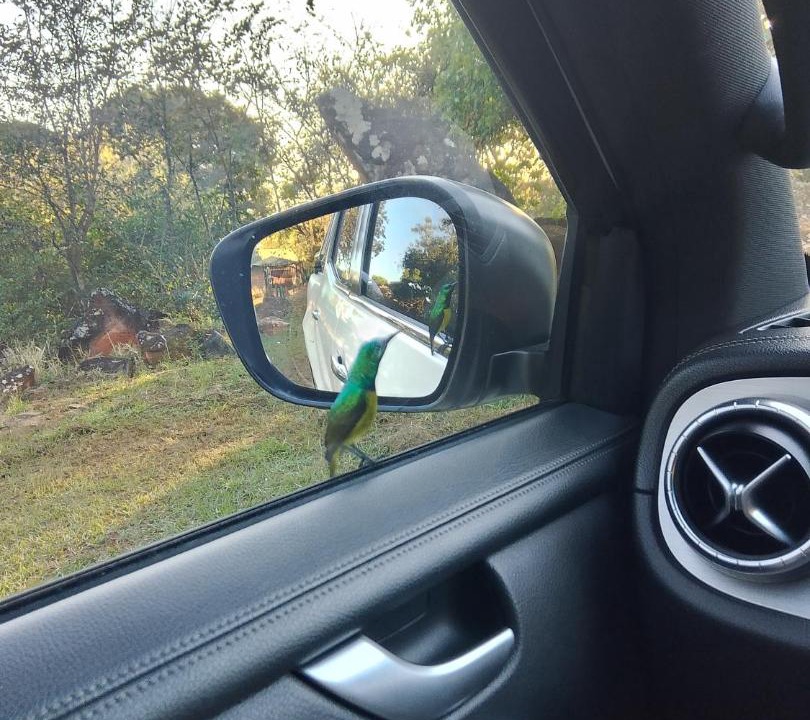 Photo of Others in Bushbuckridge