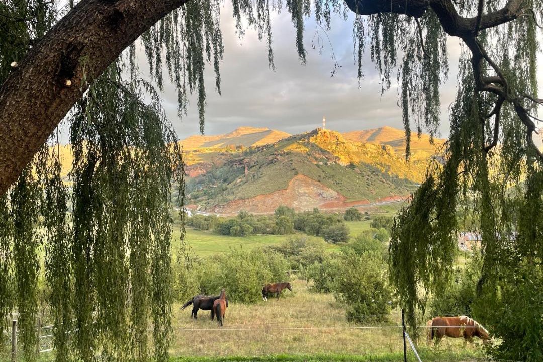 Photo of Others in Clarens