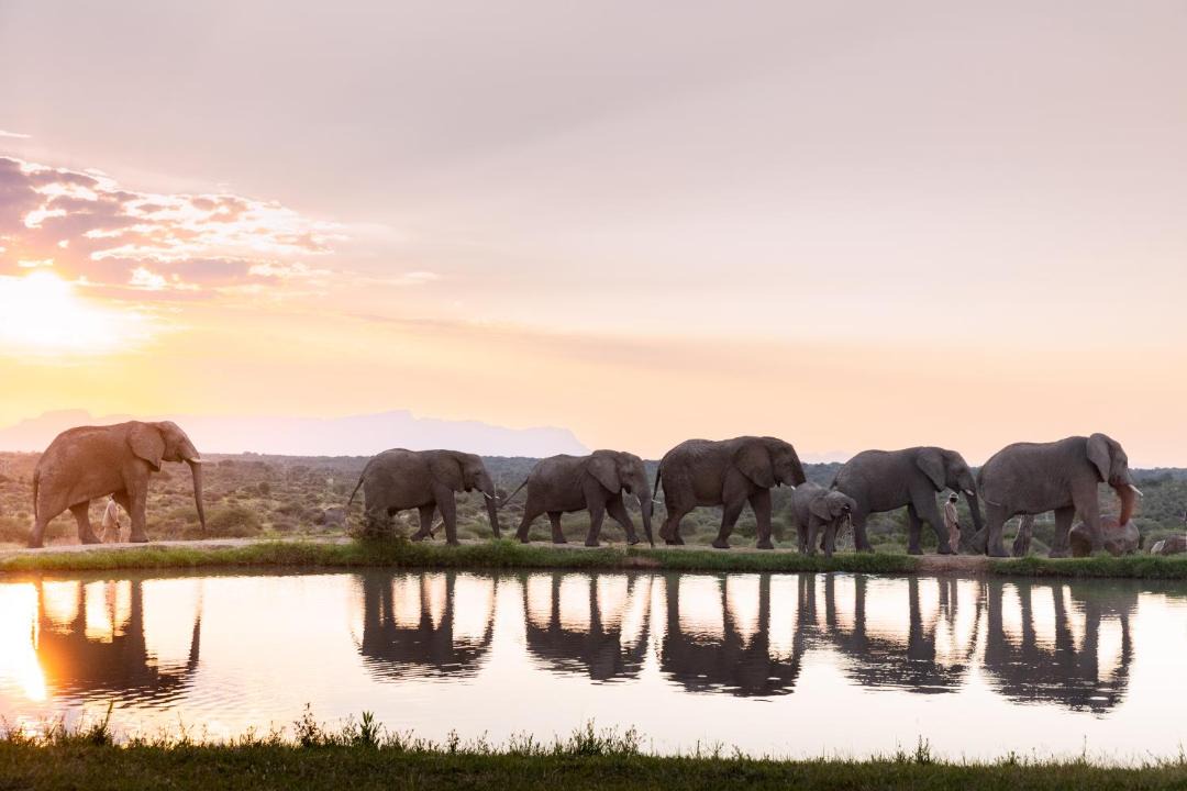 Photo of Others in Thorny Bush Game Reserve