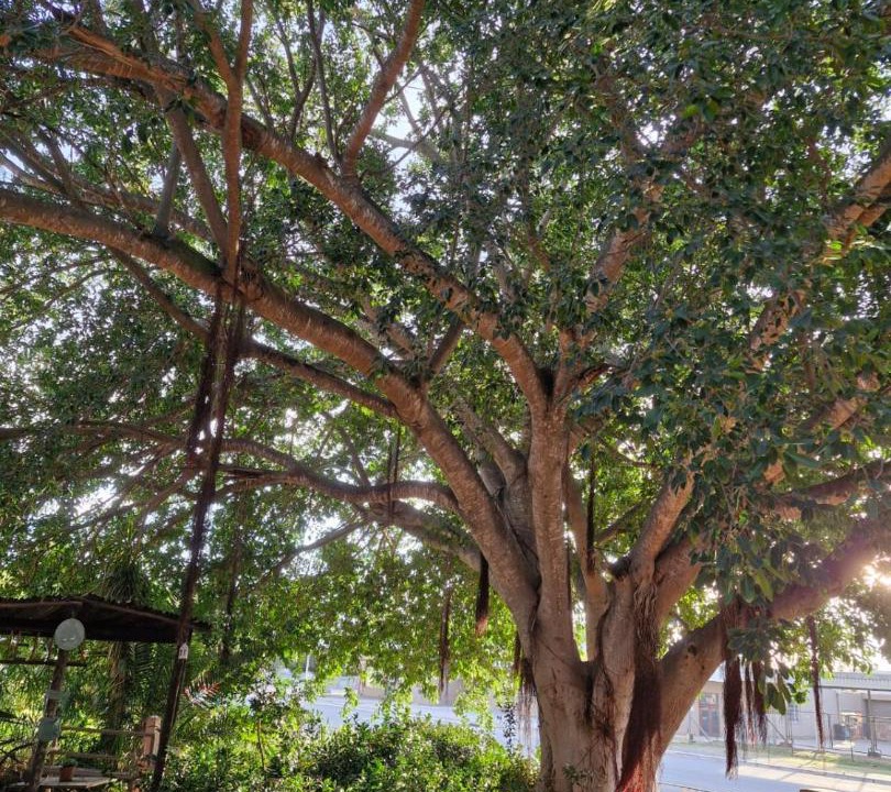 Photo of Outdoor in Leipoldtville