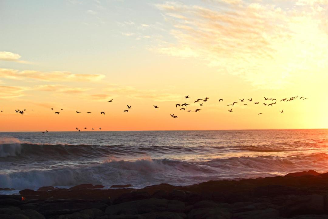 Photo of Others in Port Nolloth