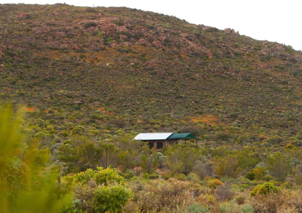 Photo of Others in Kamiesberg