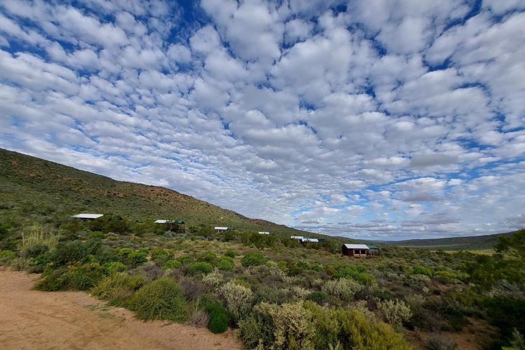 Photo of Others in Kamiesberg