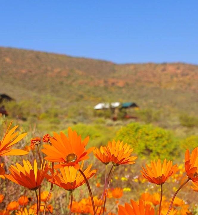 Photo of Others in Kamiesberg