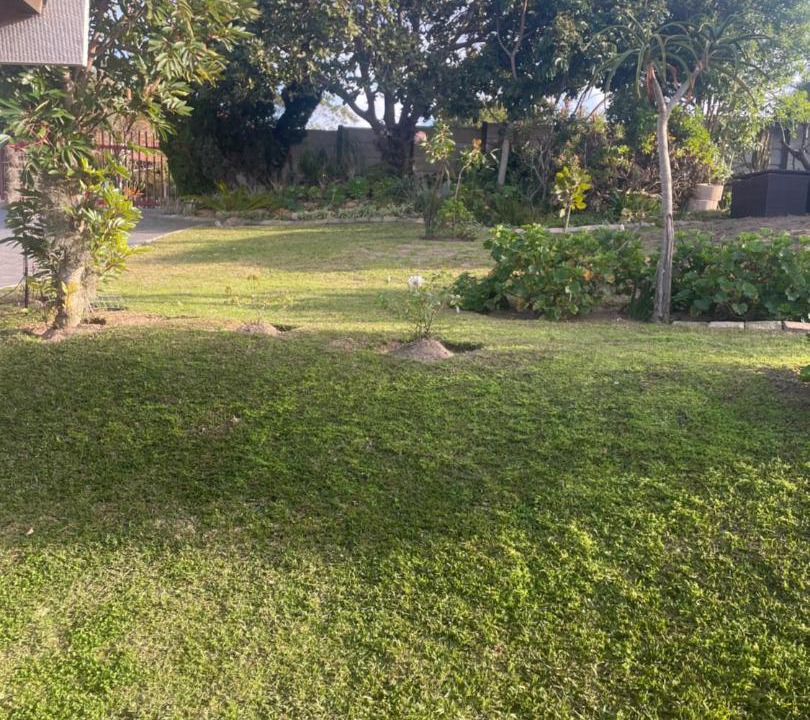 Photo of Others in Mossel Bay