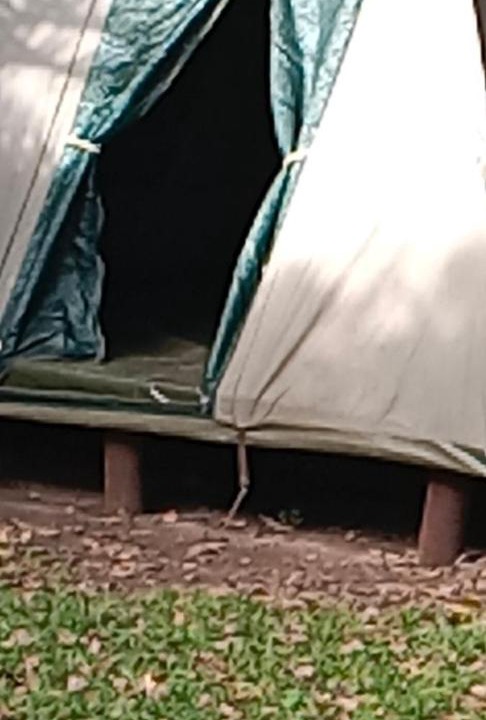 Photo of Others in Kentani