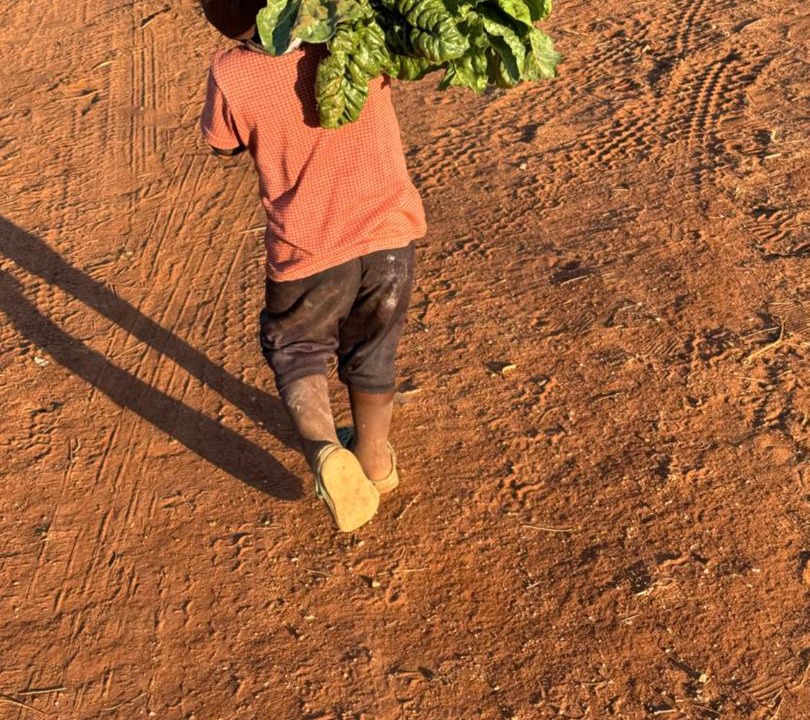 Photo of Human In Picture in Kareeberg