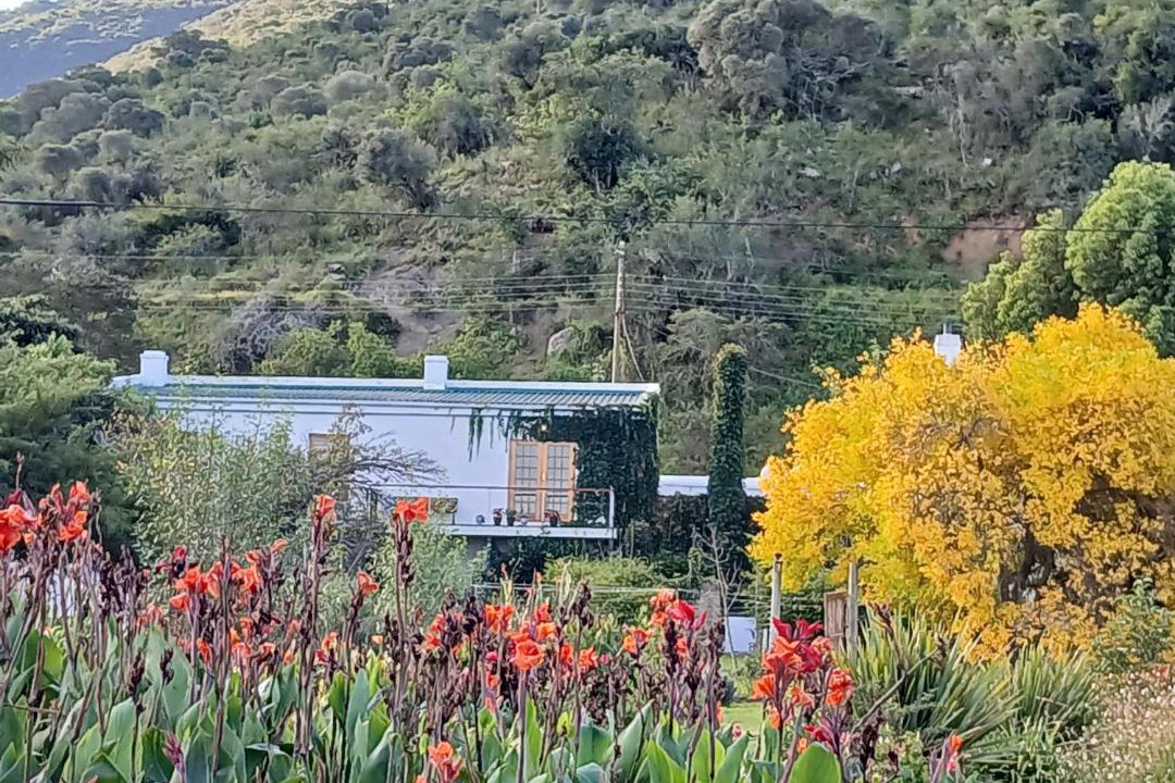 Photo of Others in Somerset East