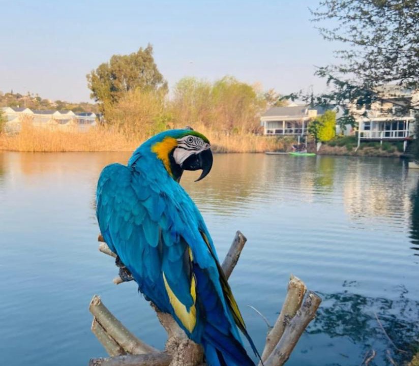 Photo of Others in Pretoria