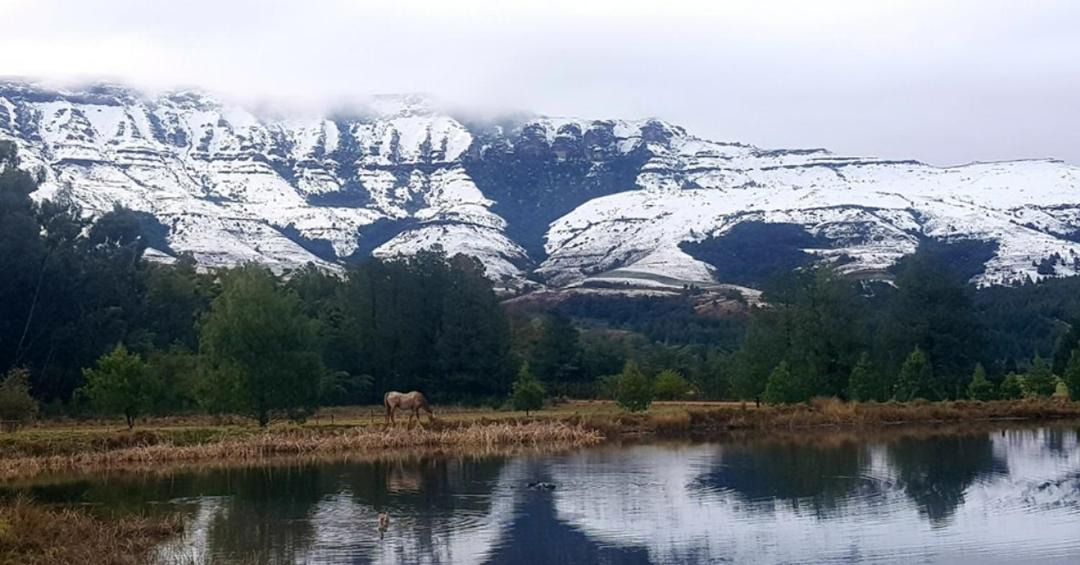 Photo of Others in Elandskop