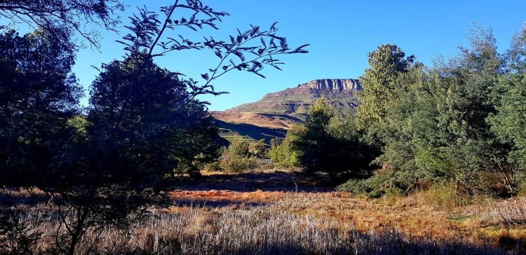 Photo of Others in Elandskop