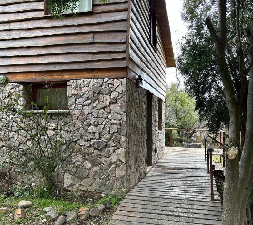 Photo of Others in Junin de los Andes