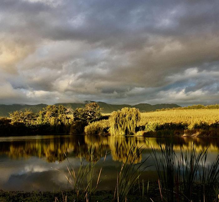 Photo of Others in Grabouw