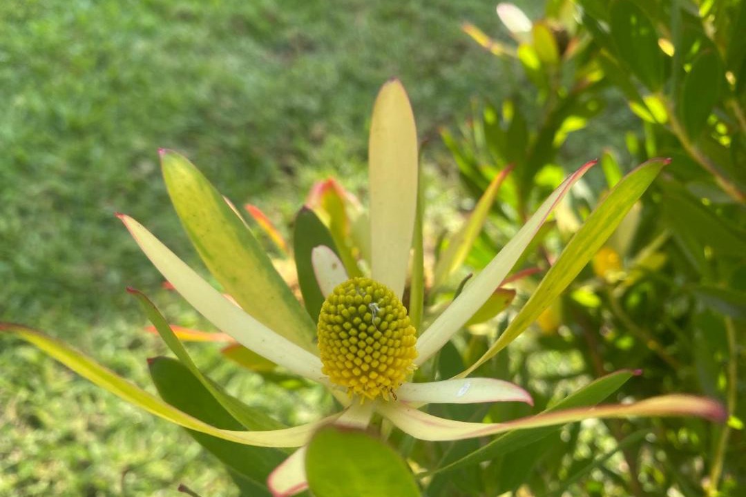 Photo of Outdoor in Cape Town
