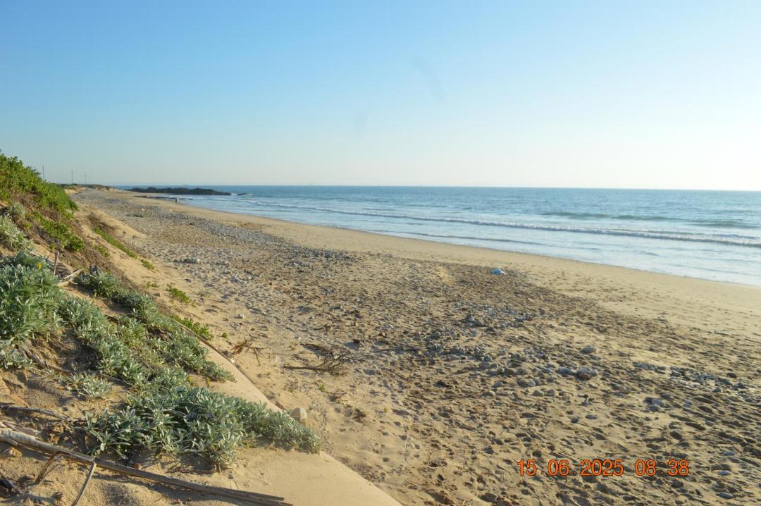 Photo of Others in Pollok Beach