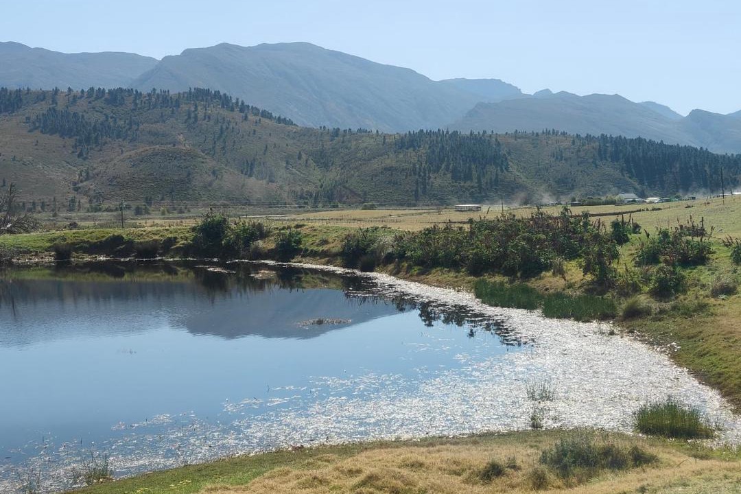 Photo of Others in Theewaterskloof
