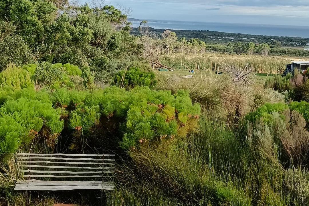 Photo of Others in Gansbaai