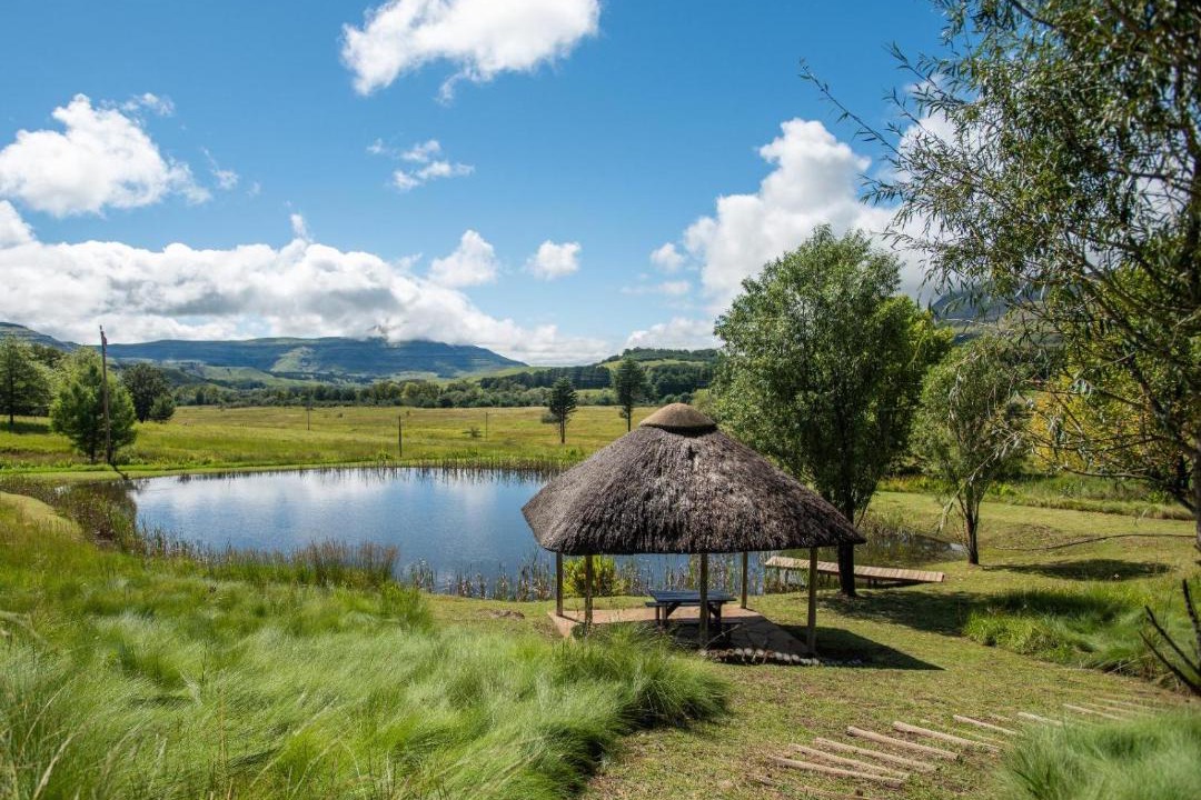 Photo of Others in Drakensberg Gardens