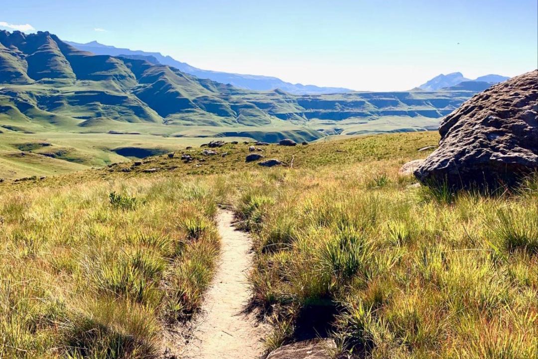 Photo of Others in Drakensberg Gardens